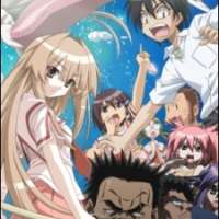  ����� Seto no Hanayome <small>Director</small> 